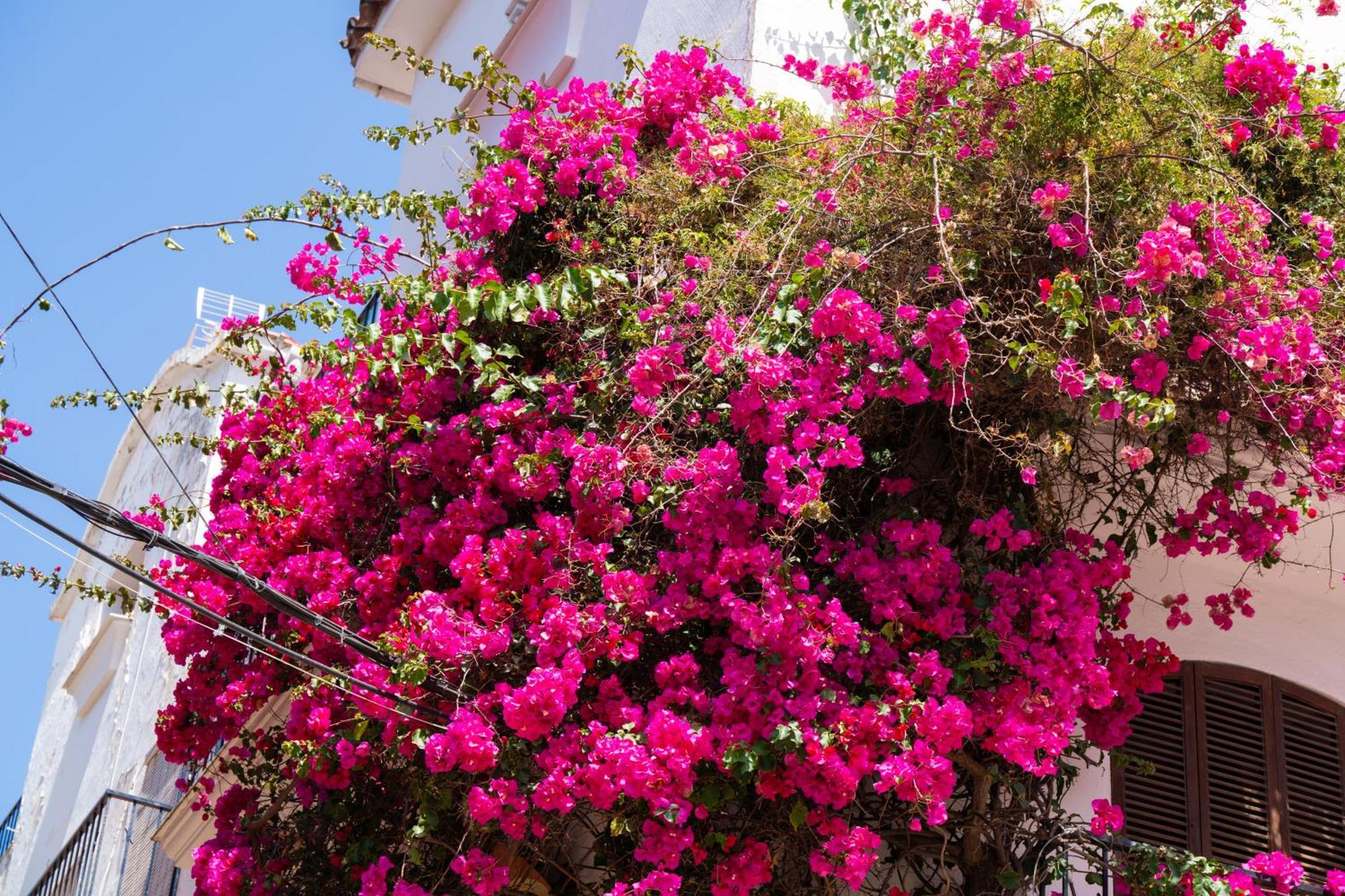 Rincon Mediterraneo 522 Apartment Marbella